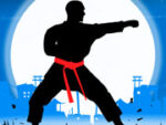 Karate fighter real battle